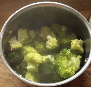 Ekologisk broccoli